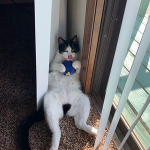 Meet your Posher, Lydia